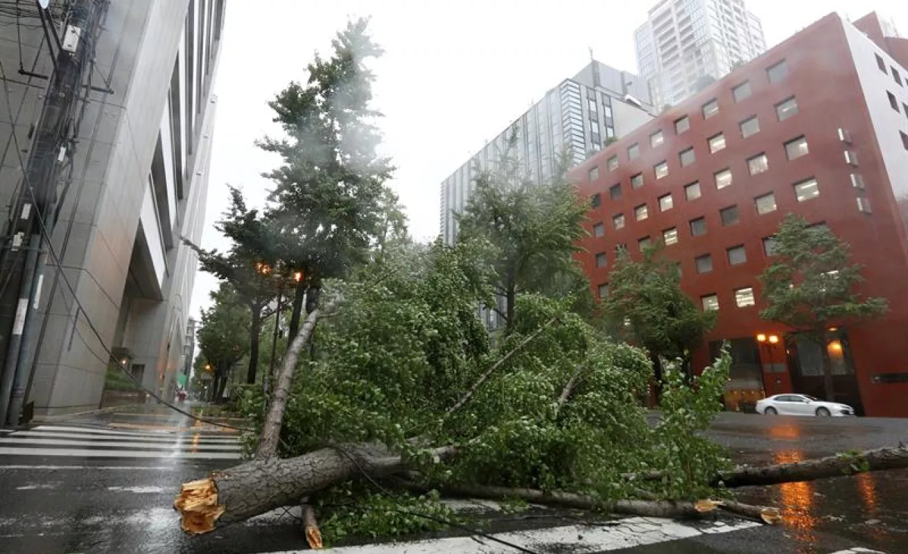 #GaleriaCri Jebi golpeó Japón con mucha fuerza