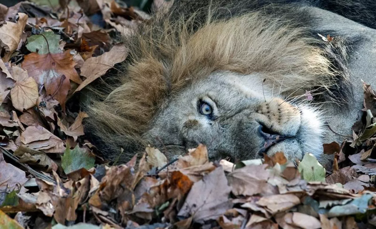 #GaleriaCri Fotos del día