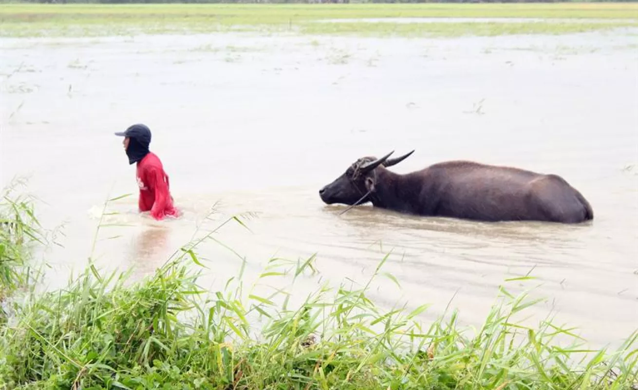 #GaleriaCri Más de 10.000  evacuados en el norte de Filipinas por el paso del tifón Yutu