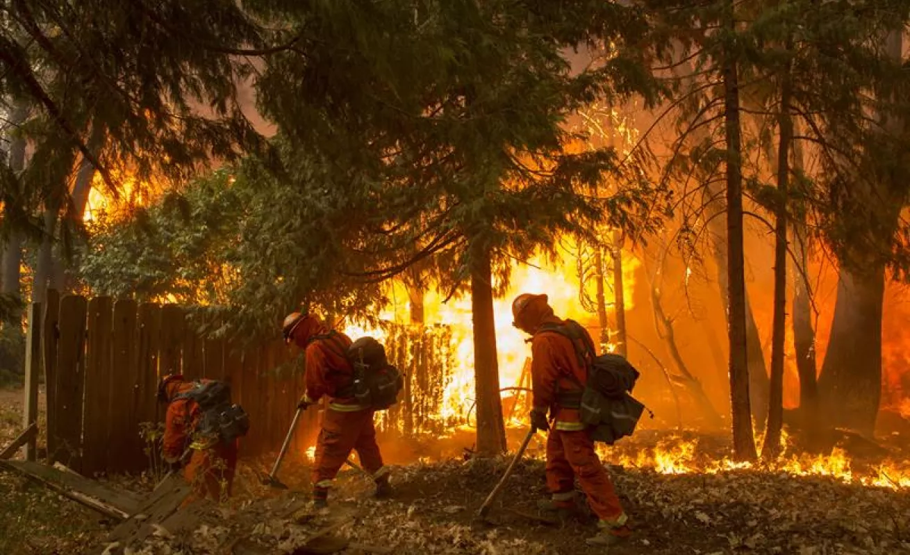#GaleriaCri Incendios arrasan California
