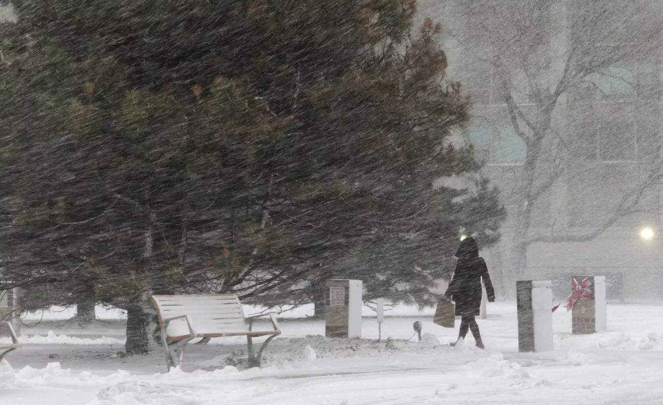 #GaleriaCri Tormenta invernal azota Medio Oeste de EE.UU.