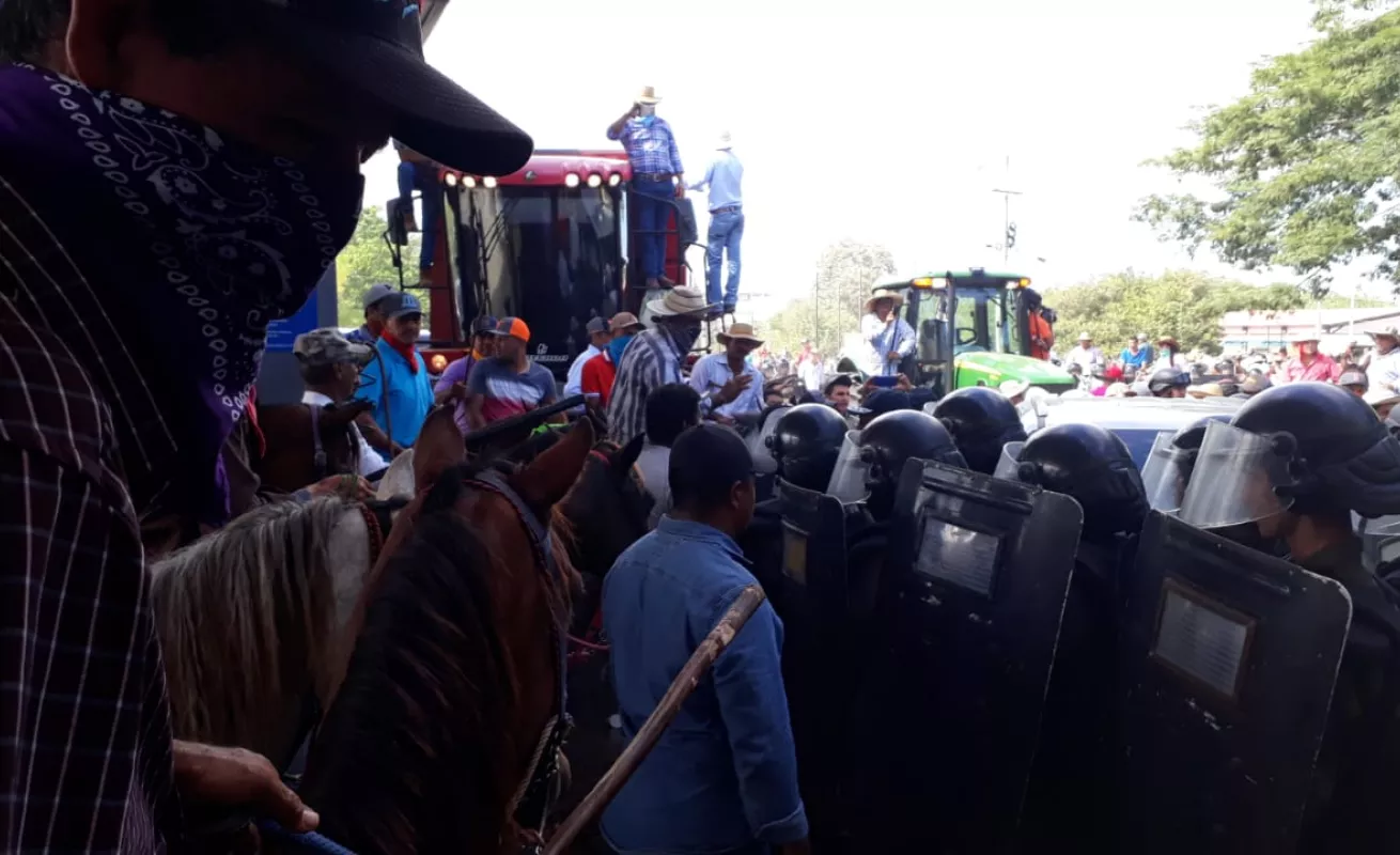 #GaleriaCri Se formó el 'jala jala' en medio de protesta de productores en Divisa