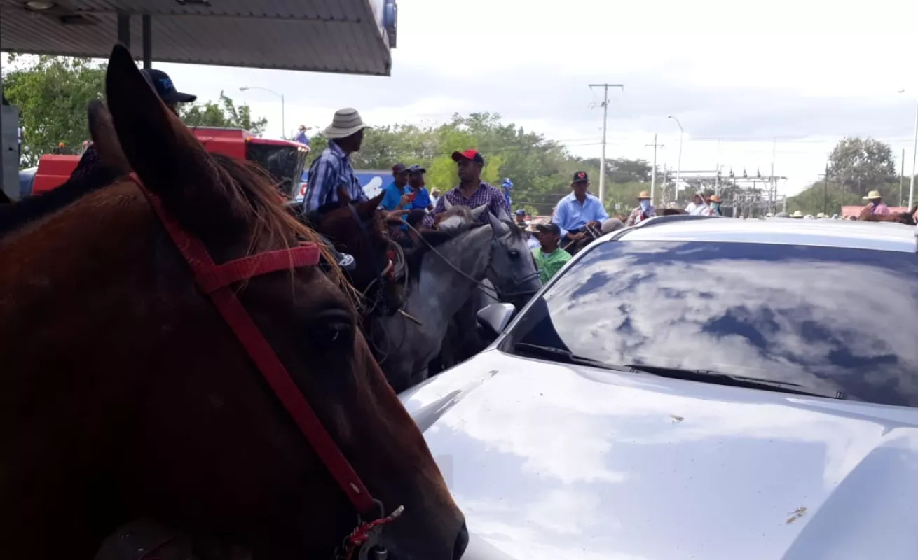 #GaleriaCri Se formó el 'jala jala' en medio de protesta de productores en Divisa