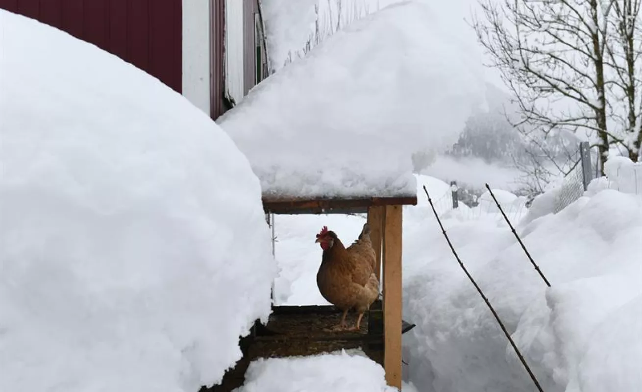 #GaleriaCri  Avalancha sepulta hotel en Austria 