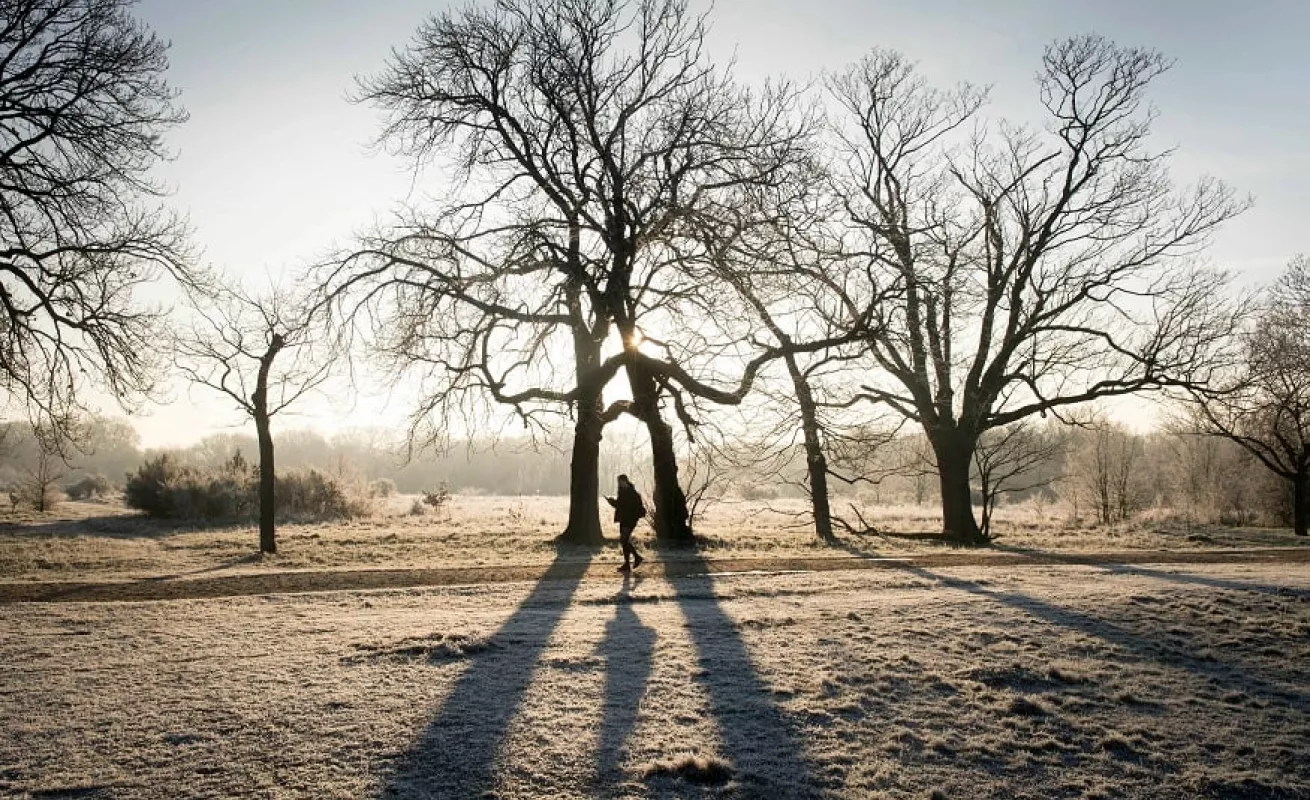 #GaleriaCri Frío polar congela todo a su paso