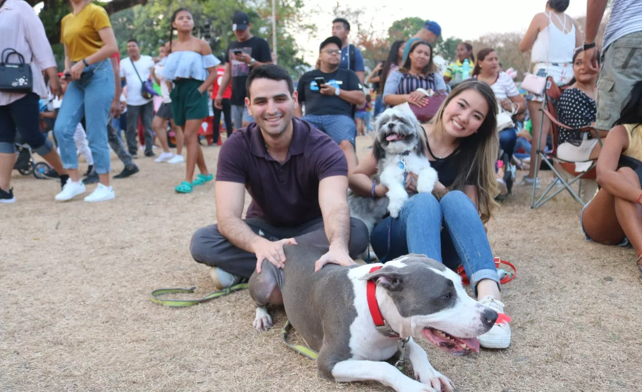 #GaleriaCri Cierre del Verano Canal 2019 con la presentación de los artistas J Balvin, Reik y Joey Montana