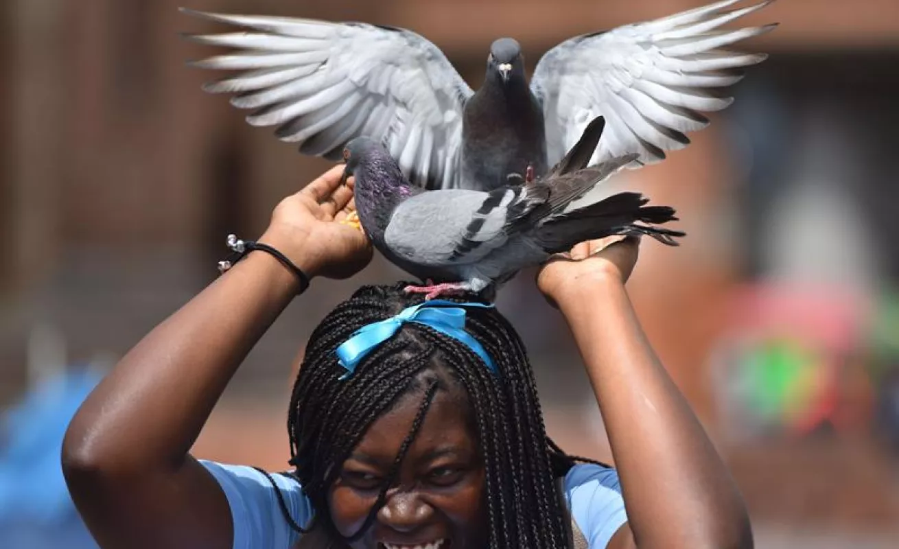 Día Internacional de la Mujer