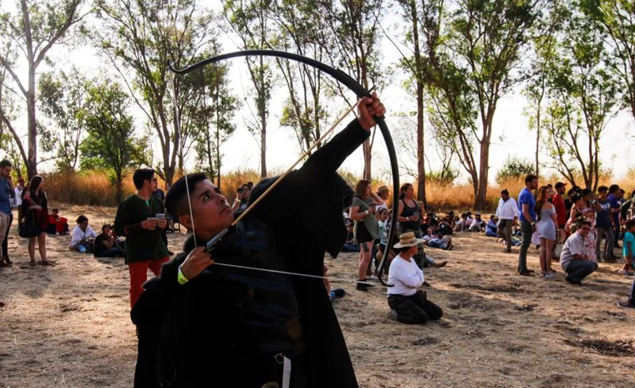 Vikingos reviven el medievo