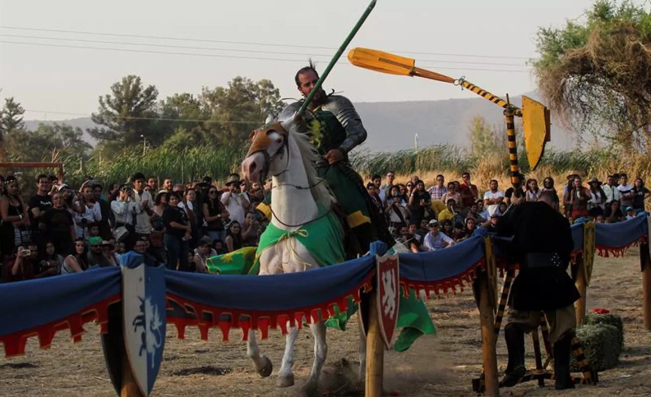 Vikingos reviven el medievo