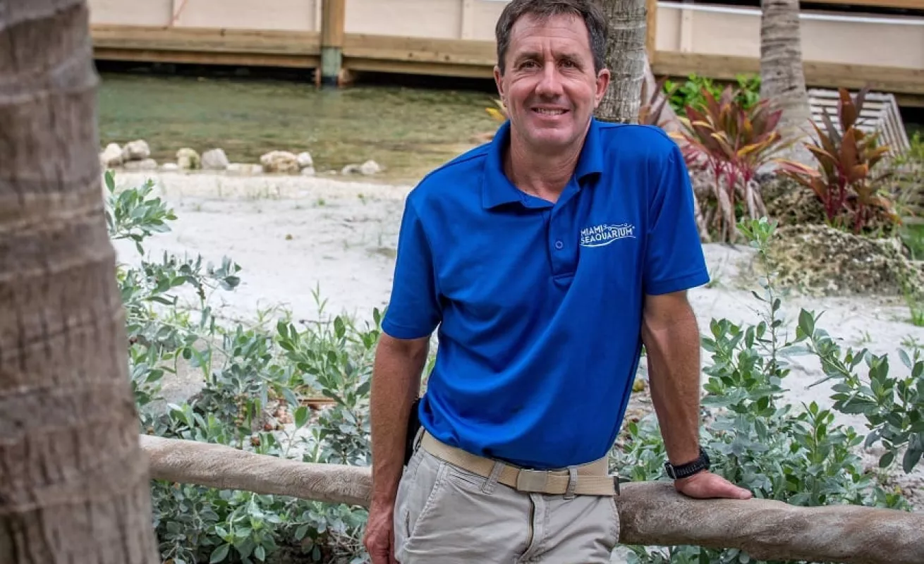 Nadando con tiburones y mantarrayas