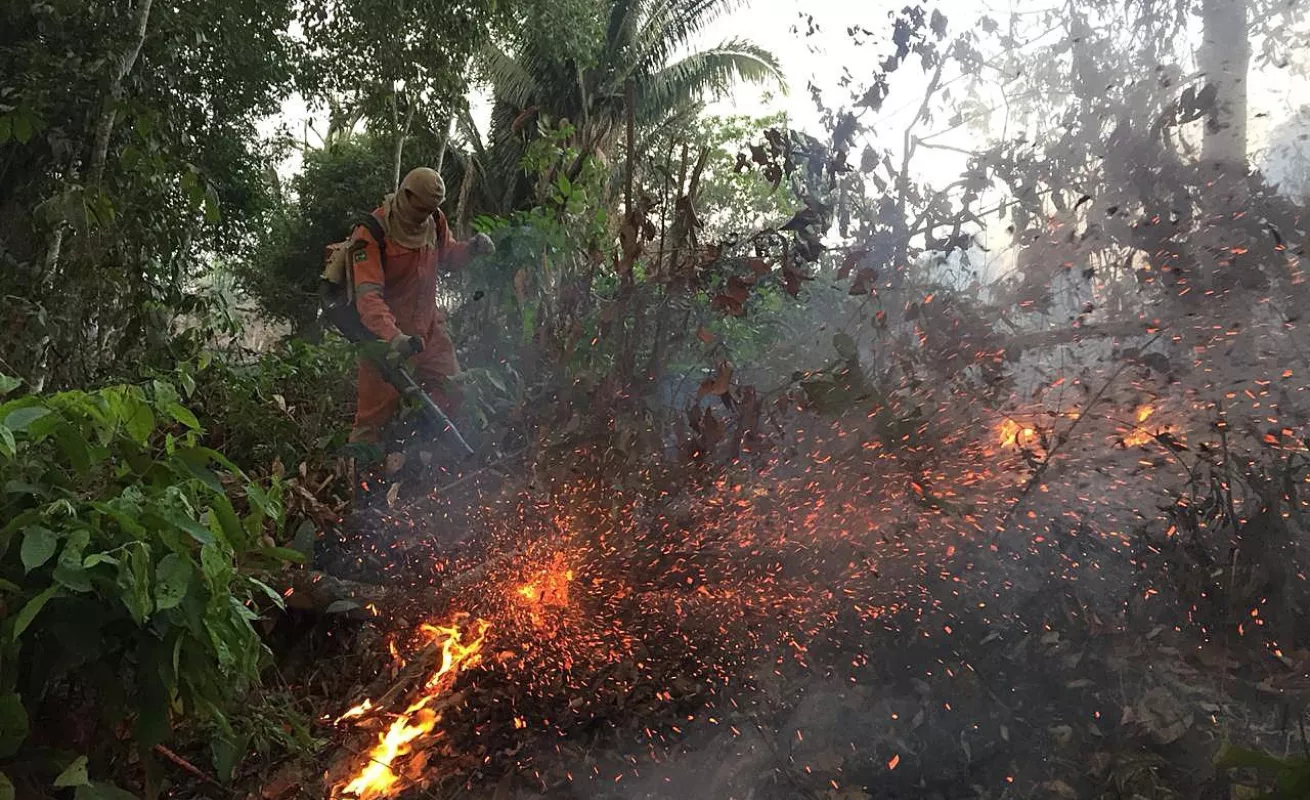 Arde la selva del Amazonas