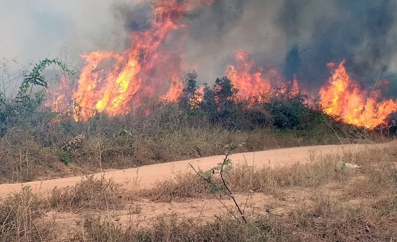 Arde la selva del Amazonas