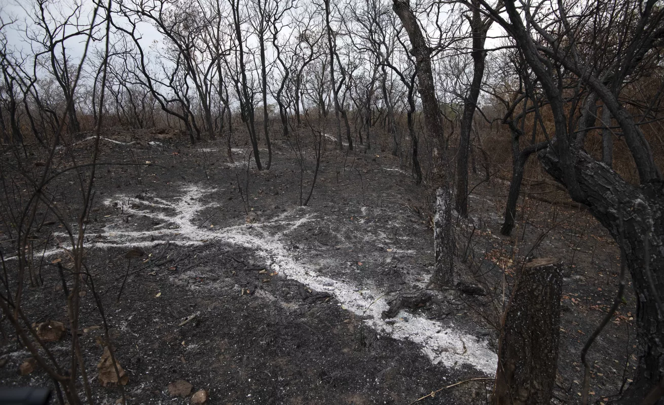 Arde la selva del Amazonas