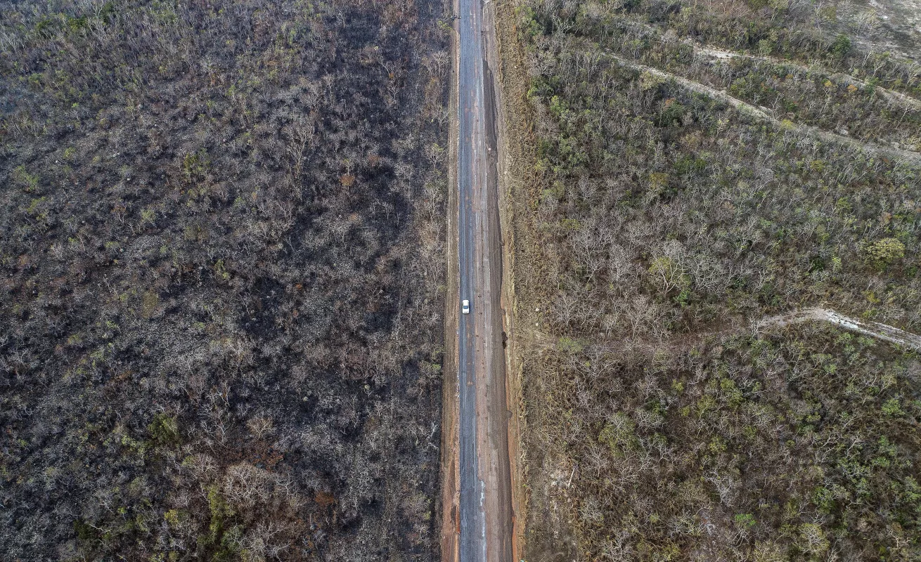 Arde la selva del Amazonas