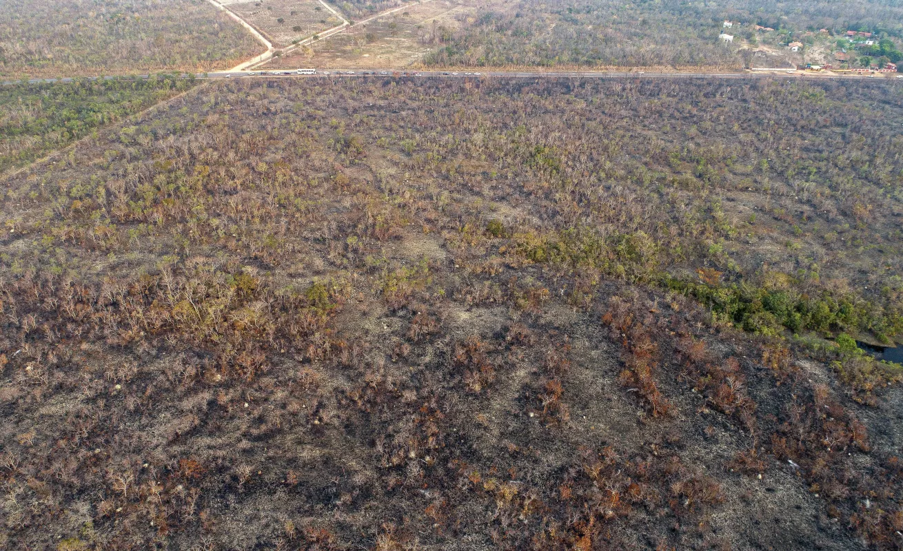 Arde la selva del Amazonas