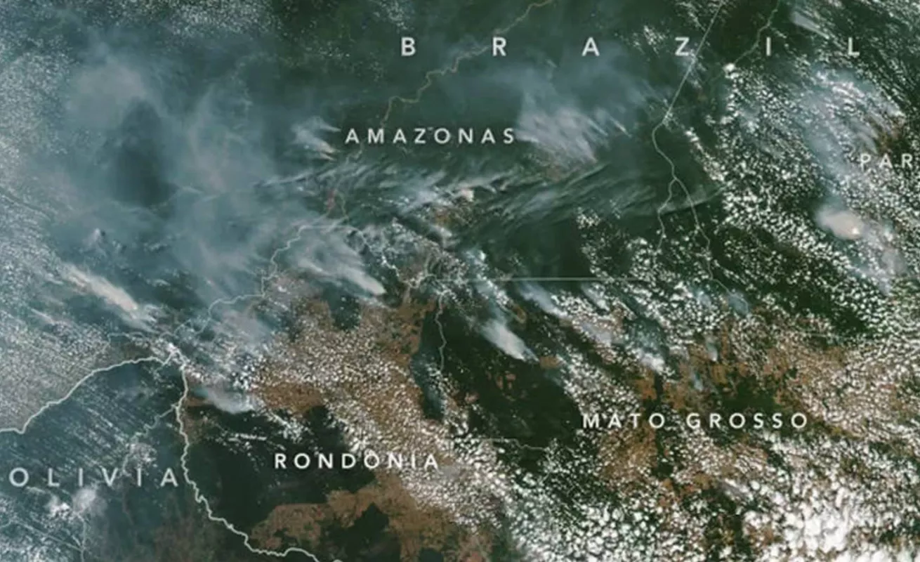 Arde la selva del Amazonas