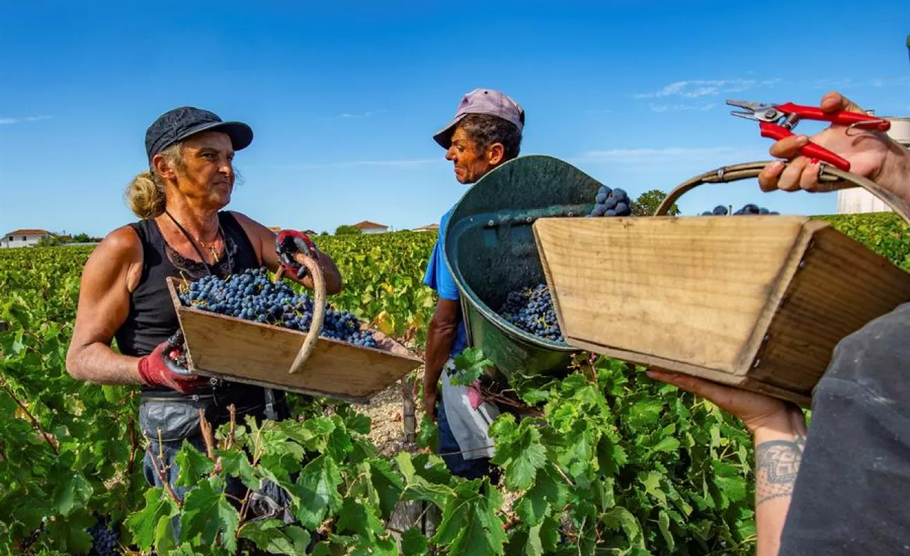 El ombligo de la semana en imágenes 