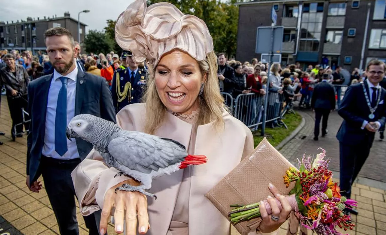El ombligo de la semana en imágenes 
