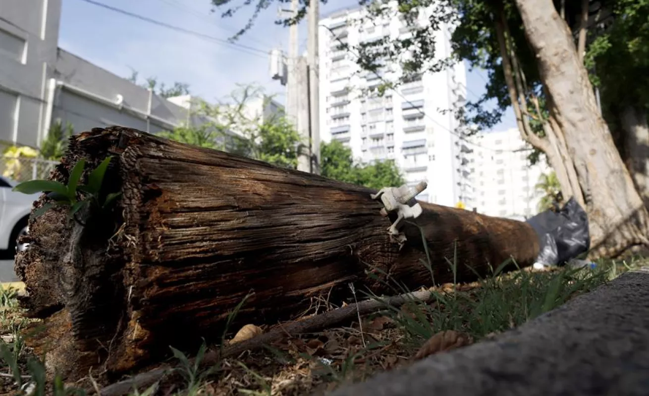 Puerto Rico aún "no levanta cabeza" tras dos años del paso del huracán María