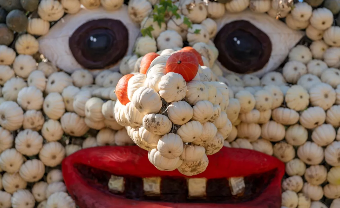 Miles de calabazas inundan el palacio de Ludwigsburg