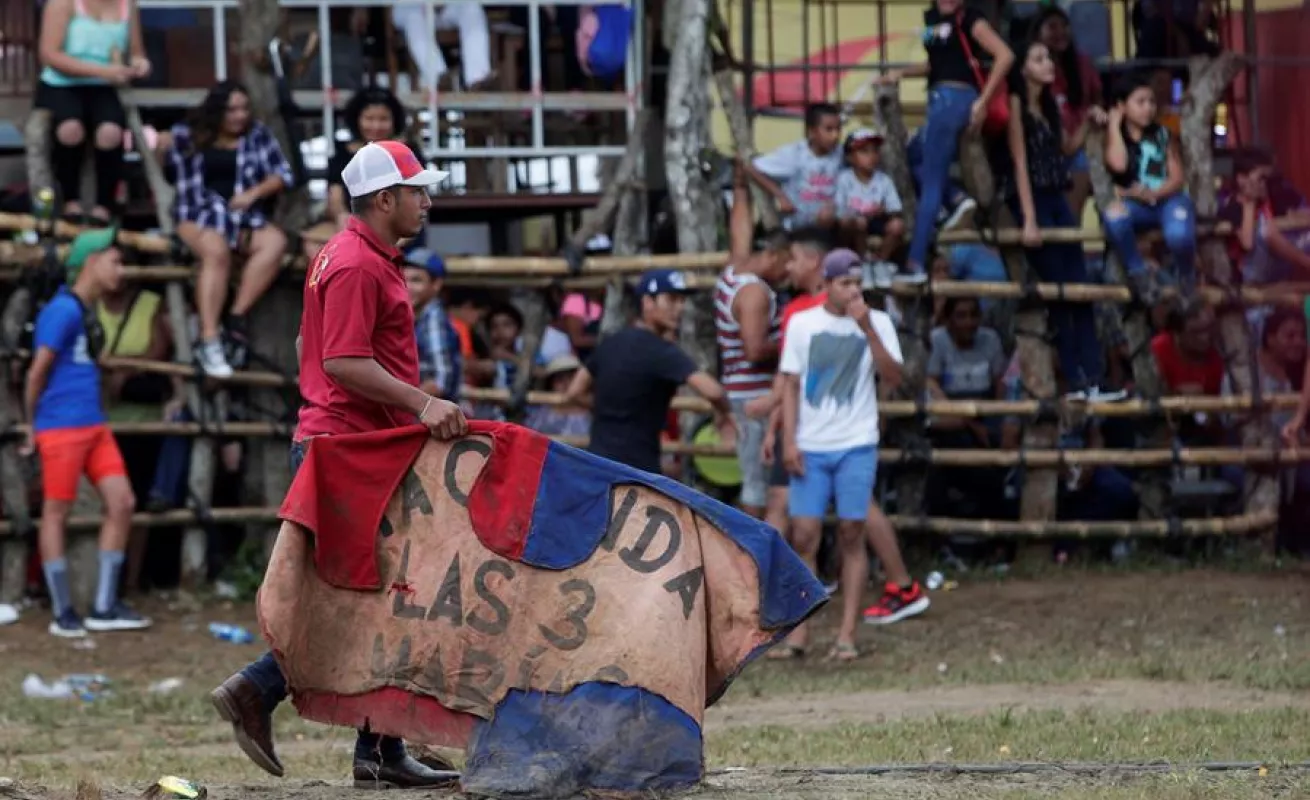 Espectáculo de toros y hombres recios anima fiesta más tradicional de Panamá