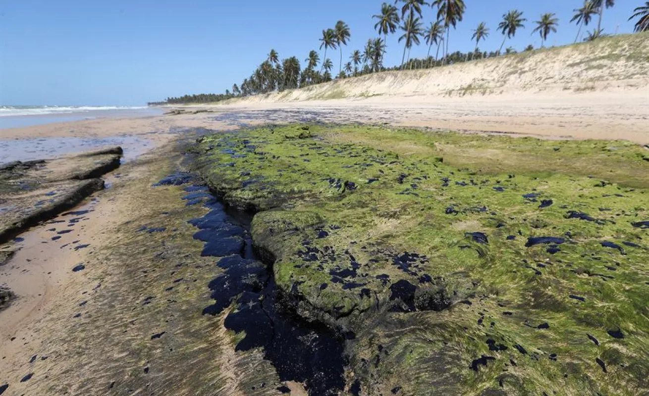 Manchas de petróleo en litoral de Brasil causan gran preocupación 