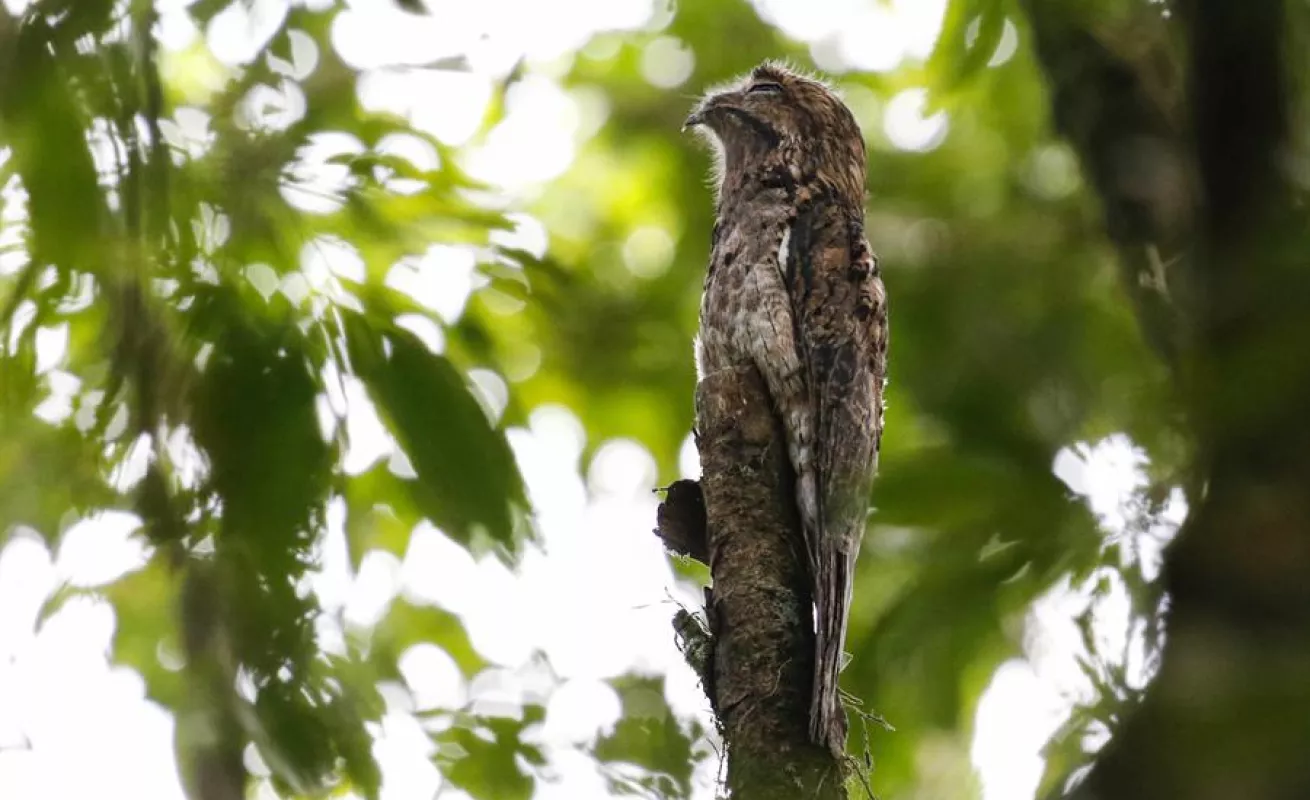 Conservar 30% del planeta al 2030, la vía para enfrentar el cambio climático