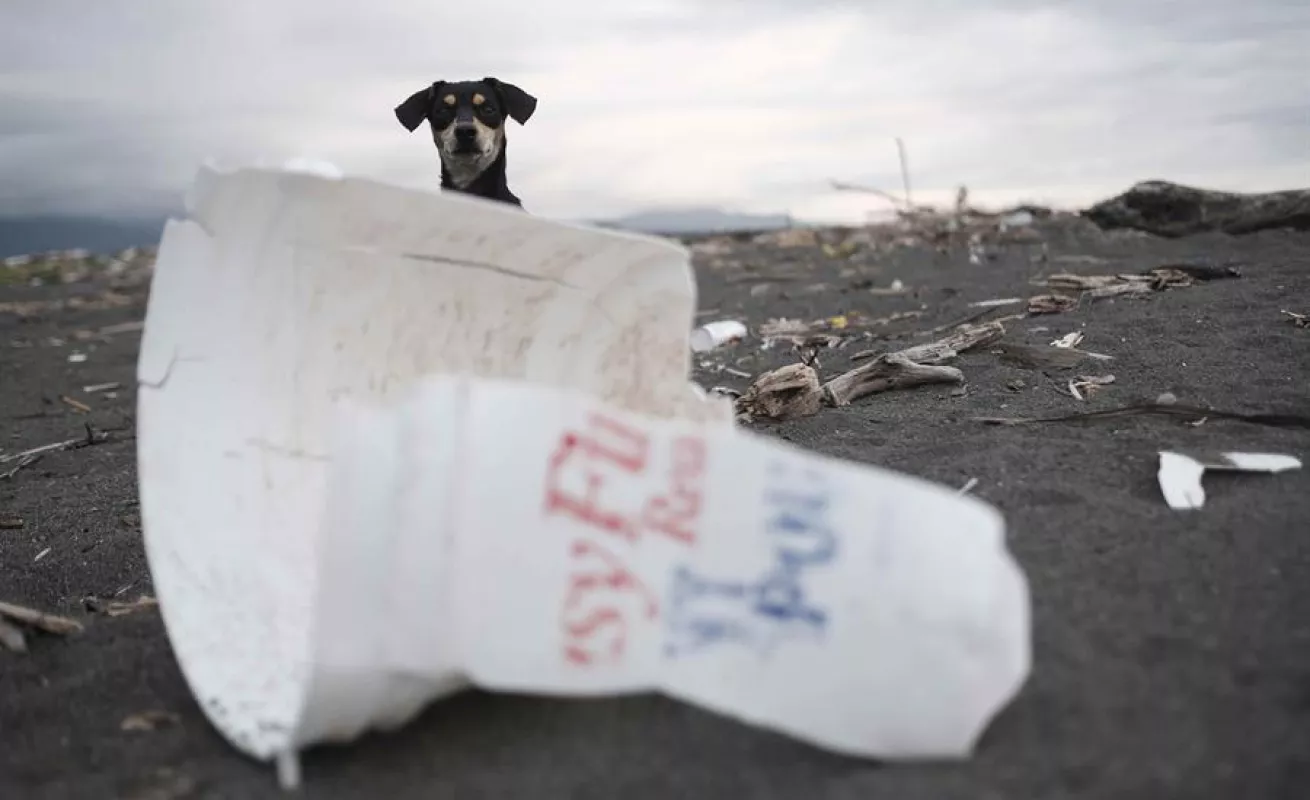 Conservar 30% del planeta al 2030, la vía para enfrentar el cambio climático