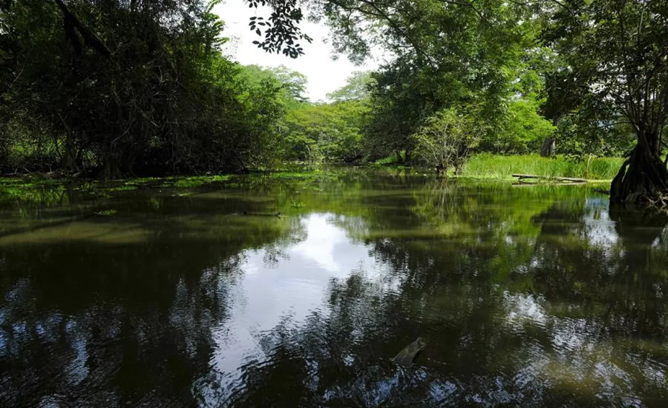 Conservar 30% del planeta al 2030, la vía para enfrentar el cambio climático