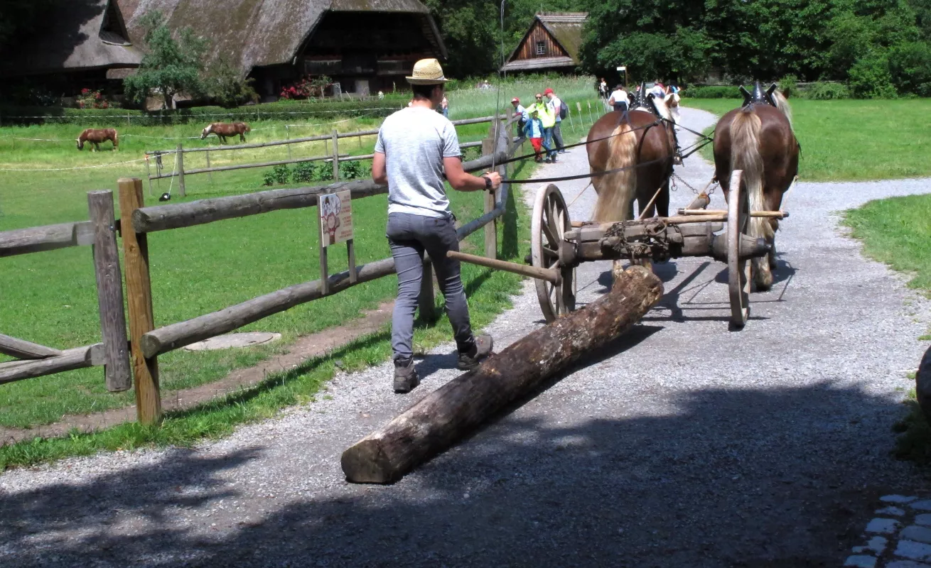 Un paseo por Alemania
