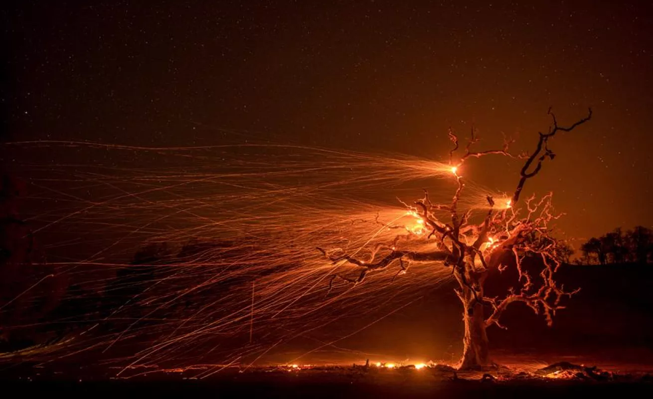 El fin de año convertido en imágenes 