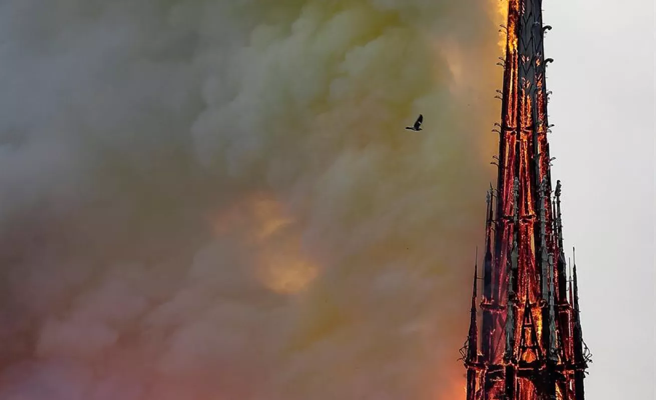 El fin de año convertido en imágenes 