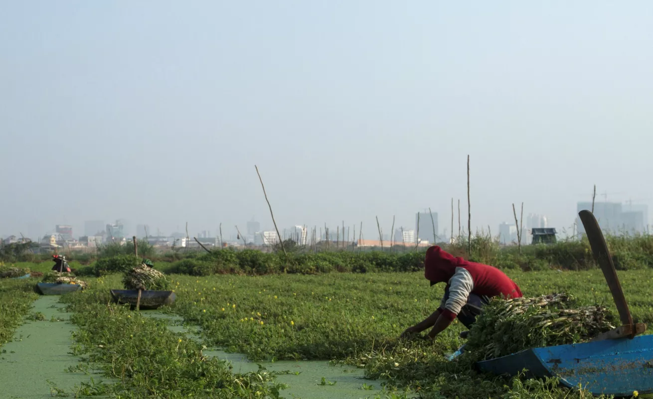Especies invasoras en América Latina