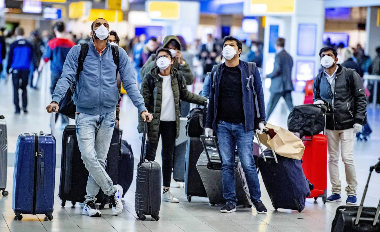 Perros entrenados para olfatear al COVID-19