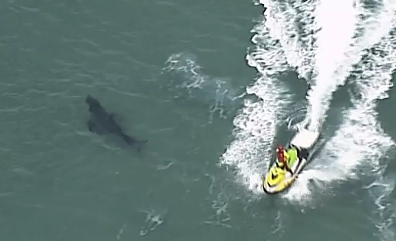 El mundo en un click