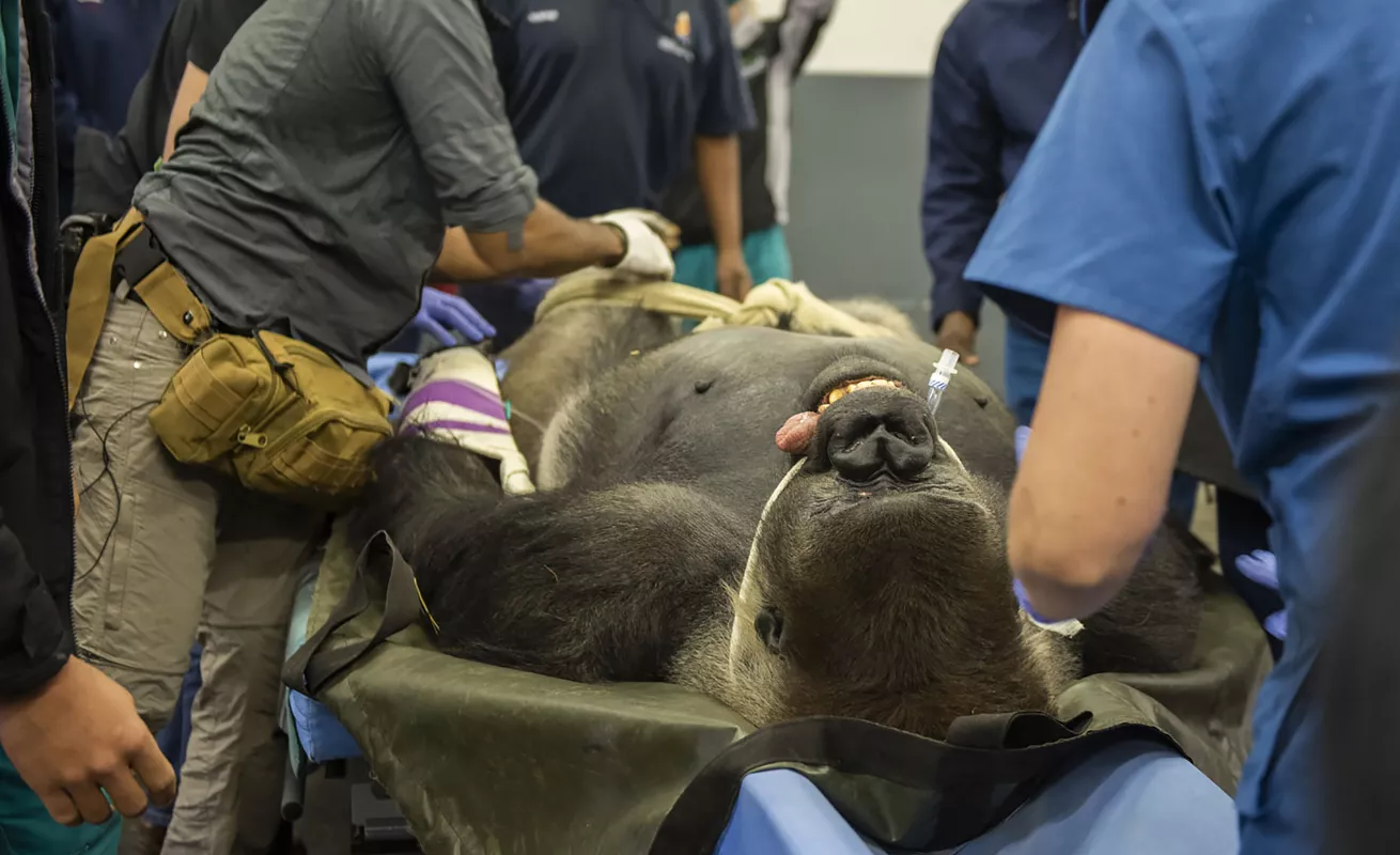 El mundo en un click