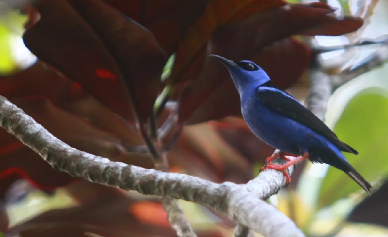 Una tarde de cuarentena en el patio de la casa 