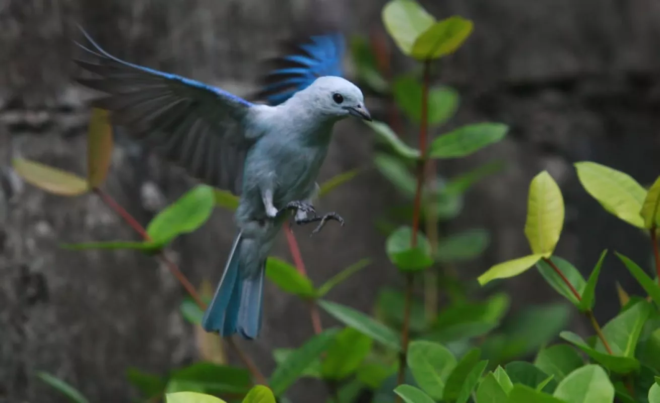 Una tarde de cuarentena en el patio de la casa 
