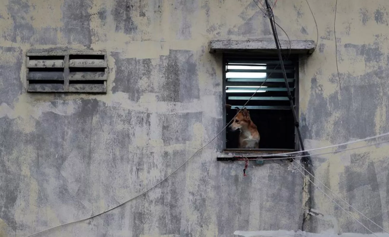  Panamá lucha contra rebrote: busca casa por casa contagios de COVID-19