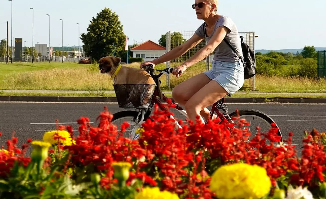 Imágenes del mundo en tiempos de coronavirus (Fotos)