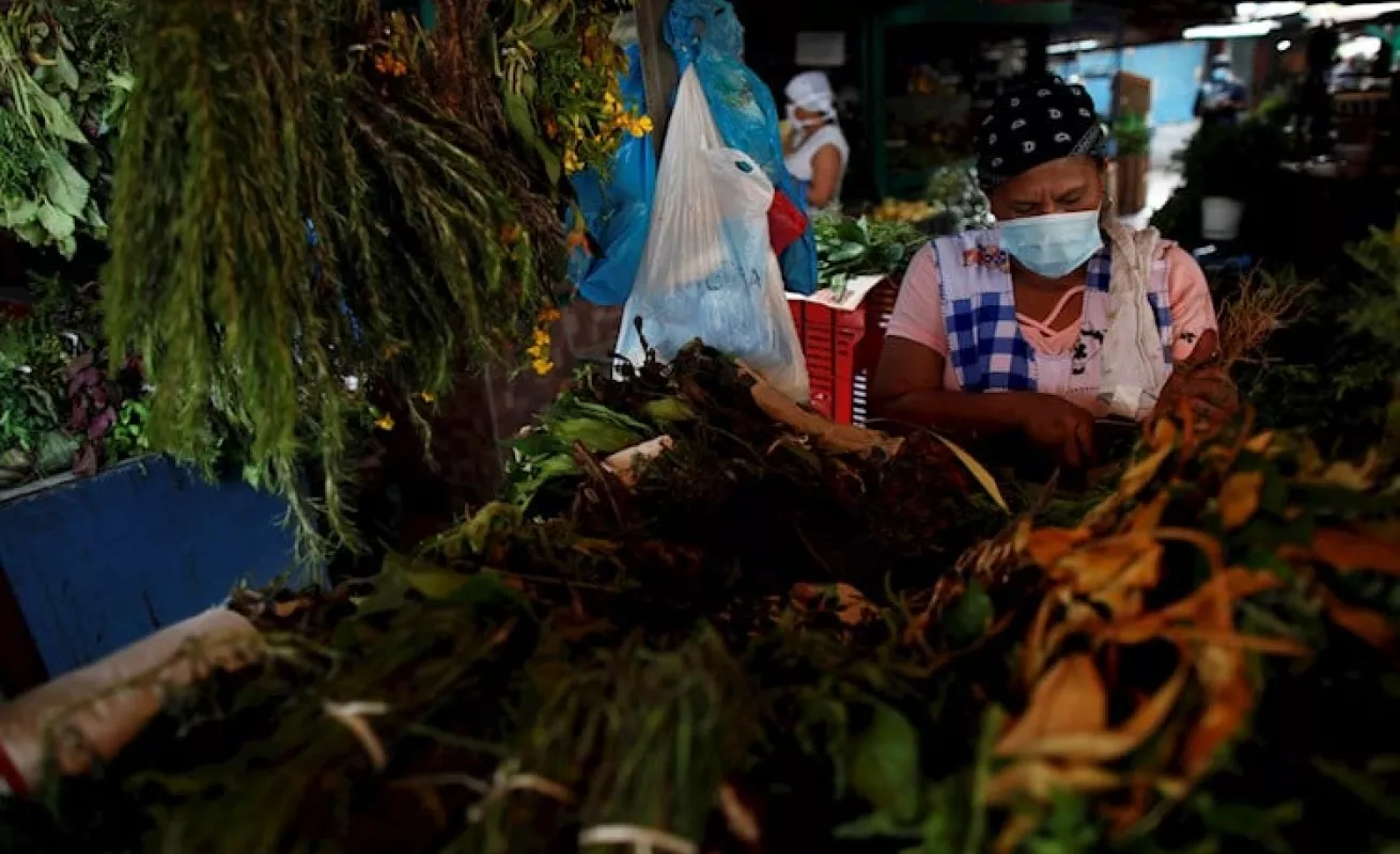 En un mercadito de Panamá se sobrevive con la venta de plantas medicinales