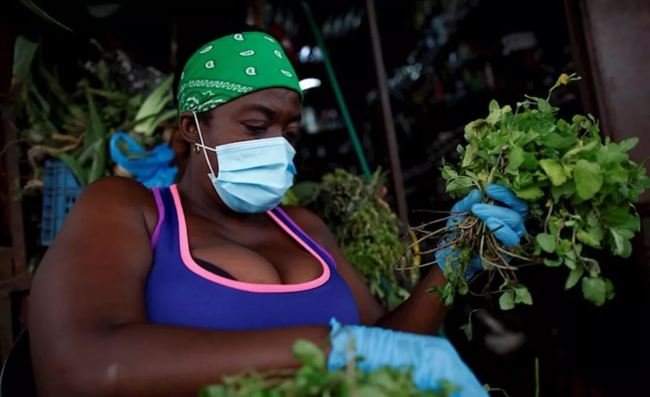 En un mercadito de Panamá se sobrevive con la venta de plantas medicinales