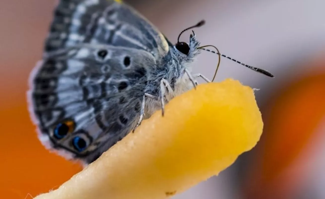 El mundo en un click