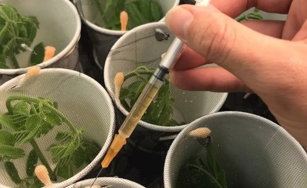 El mundo en un click