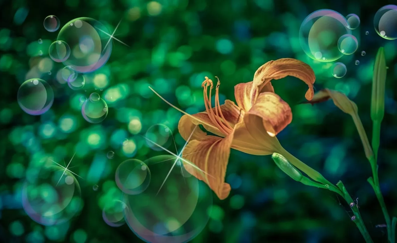 Pompas de jabón para polinizar flores (Fotos)