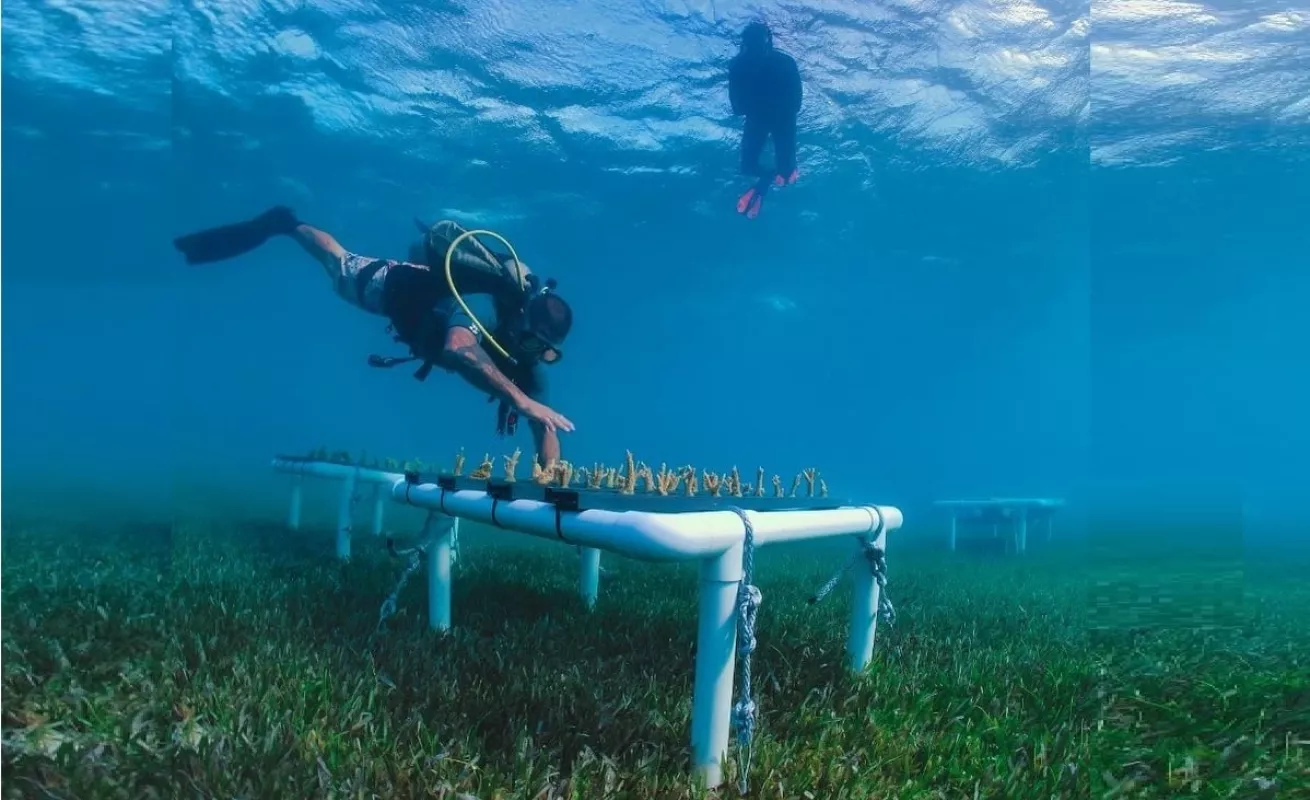 Proyecto Proteus: una estación internacional bajo el mar Caribe (Fotos)