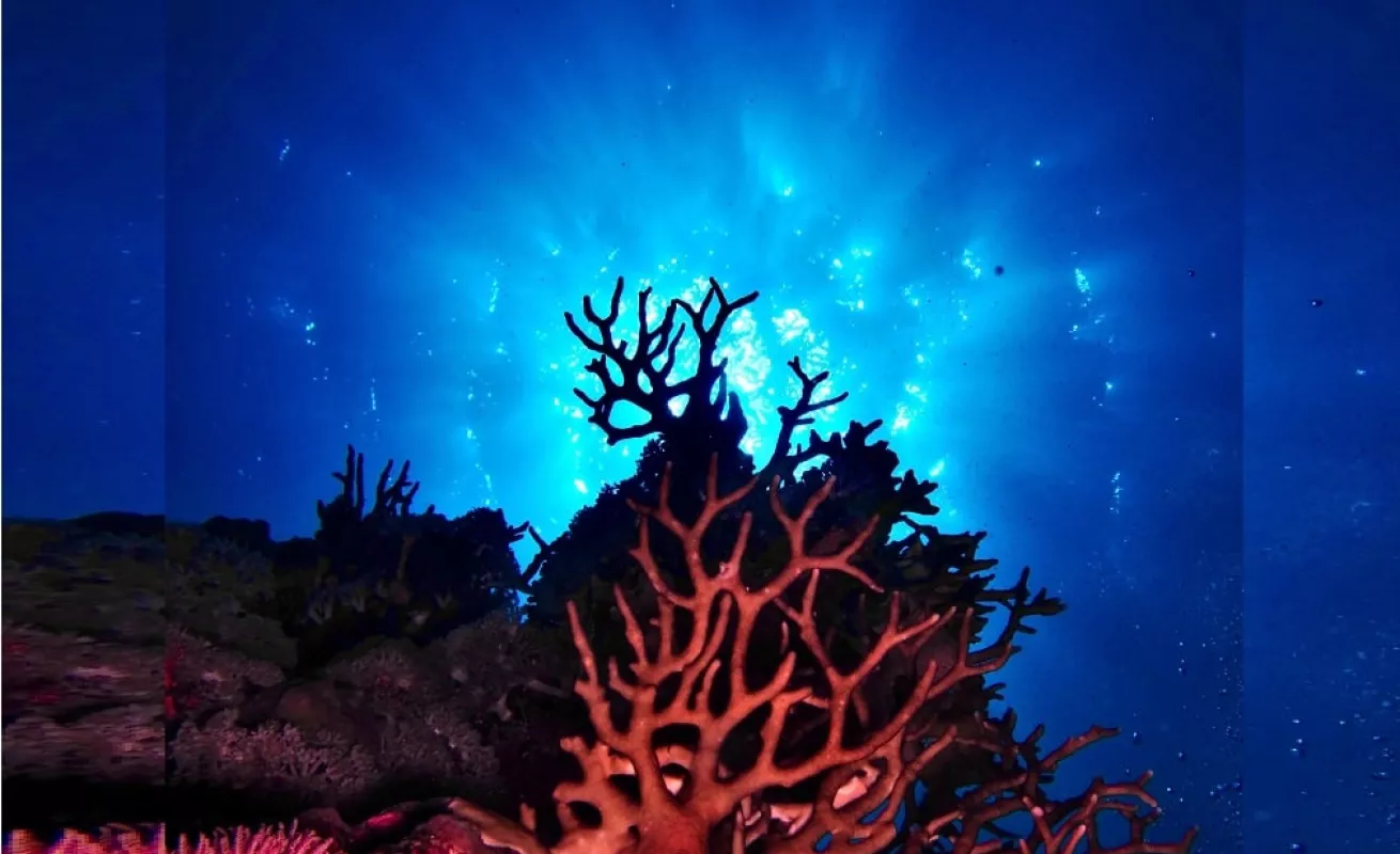 Proyecto Proteus: una estación internacional bajo el mar Caribe (Fotos)