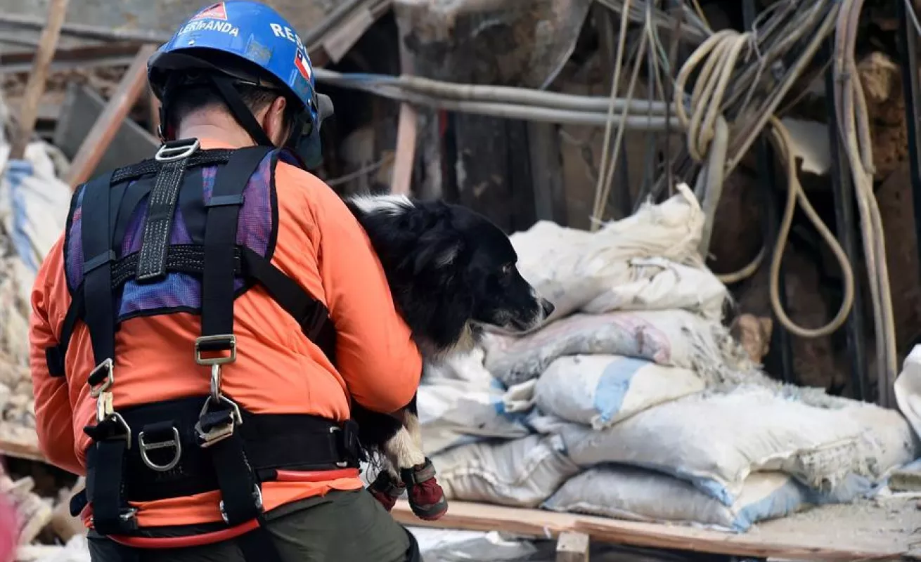 Buscan posible sobreviviente bajo escombros de edificio que colapsó tras explosión en Beirut (Fotos)