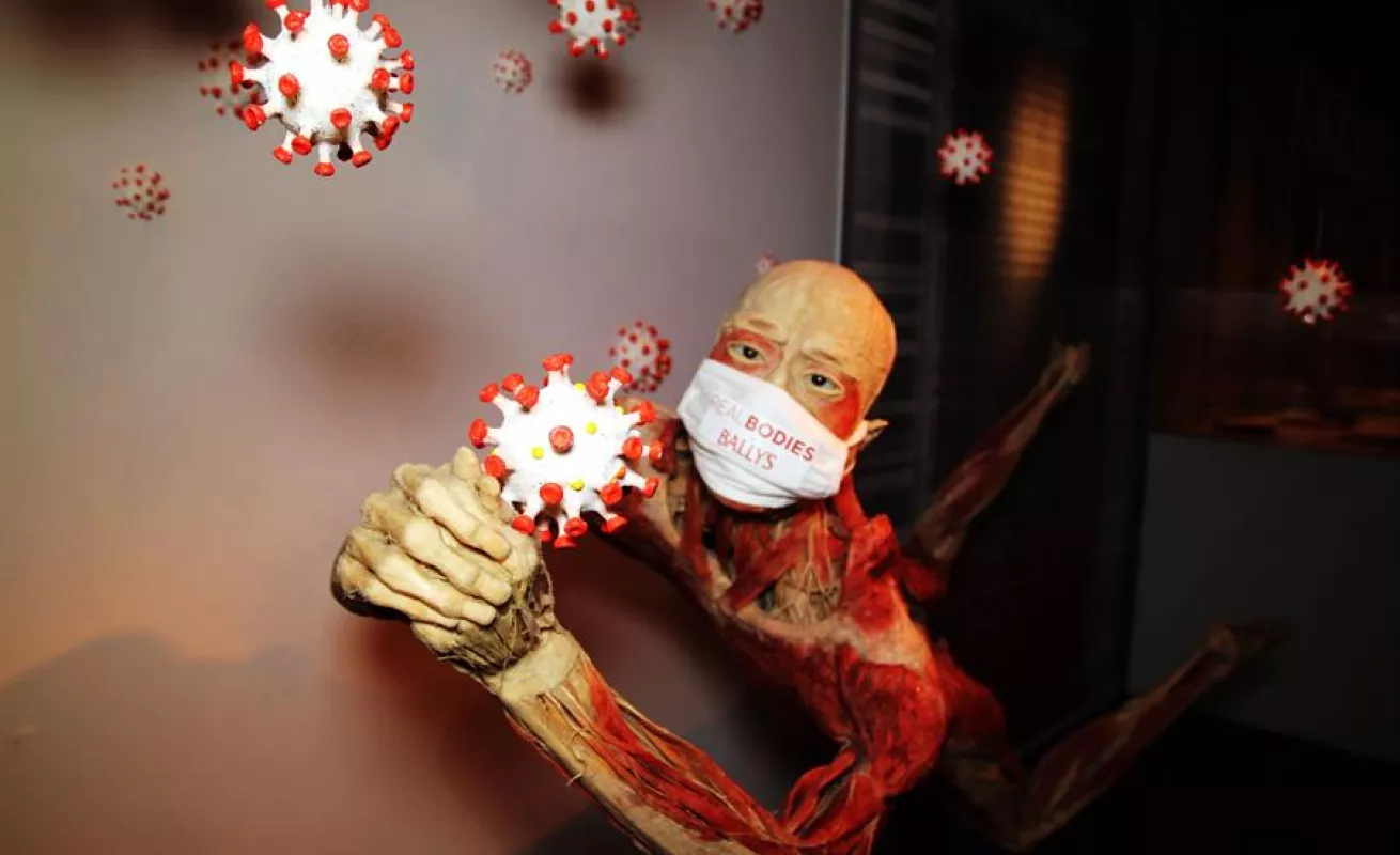 "Bodies", la exhibición de cuerpos humanos ahora expone los efectos del COVID-19 (Fotos)