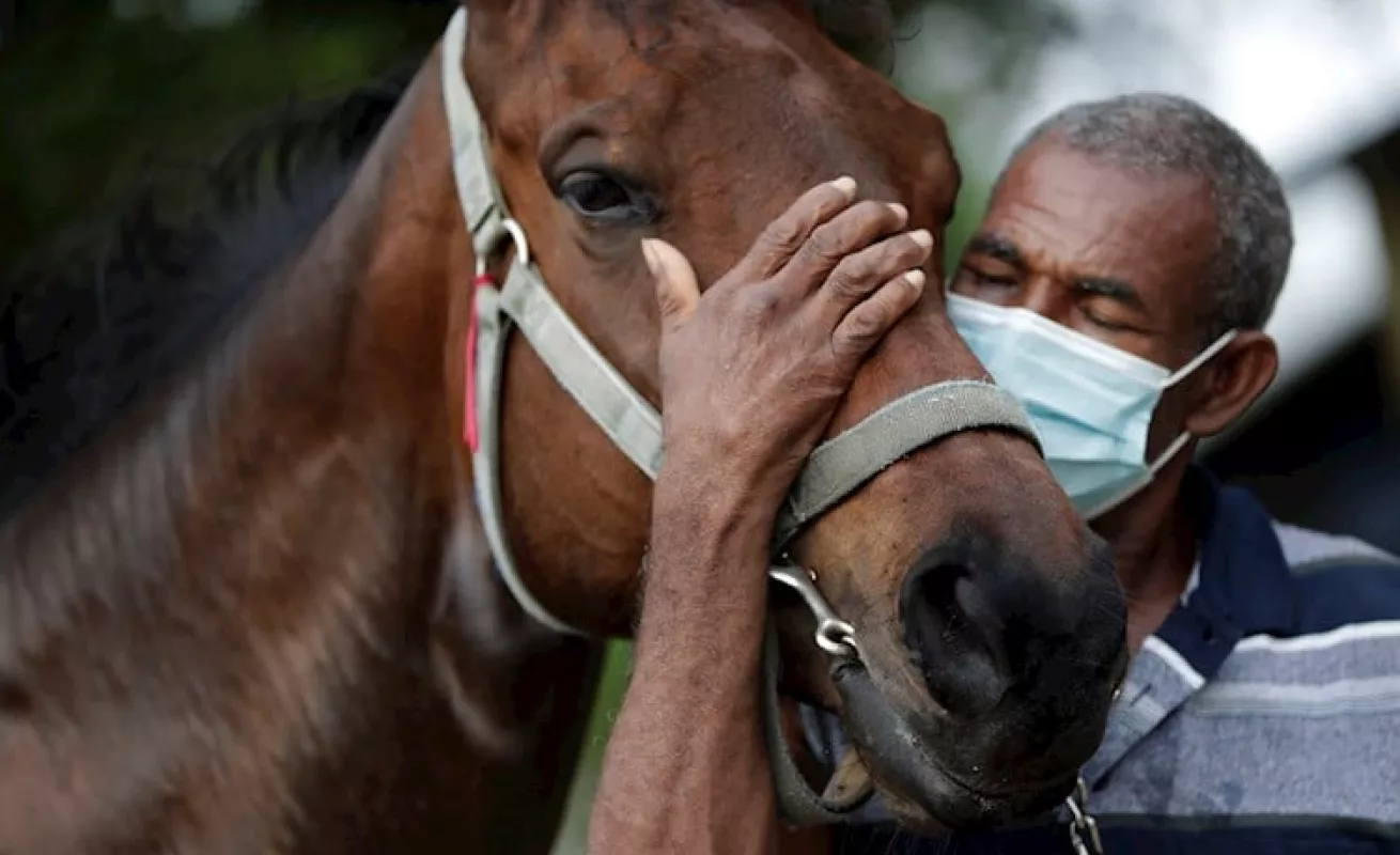 ¡A correr! Animales felices en el HipoRemón 